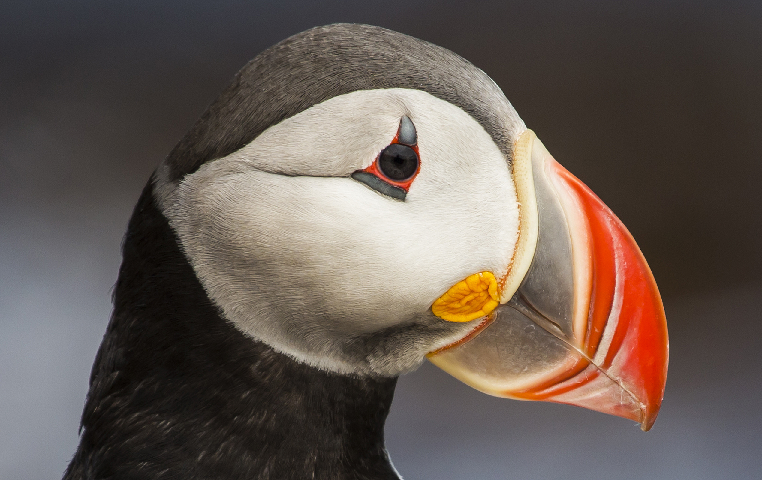 Are you enjoying Iceland yet?