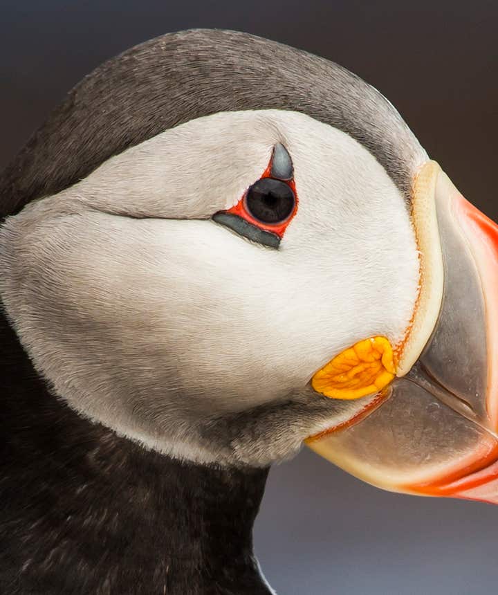 QuickBooks Keep Aborting? Here’s How to Fix It Fast