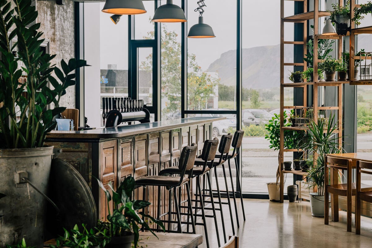 Cozy interior at The Old Dairy with wooden furniture, bar seating, large windows, and plenty of indoor plants.