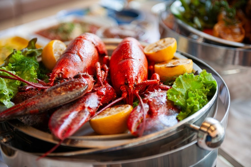 Delicious lobster dish served with lemon and greens in Höfn, the lobster capital of Iceland.