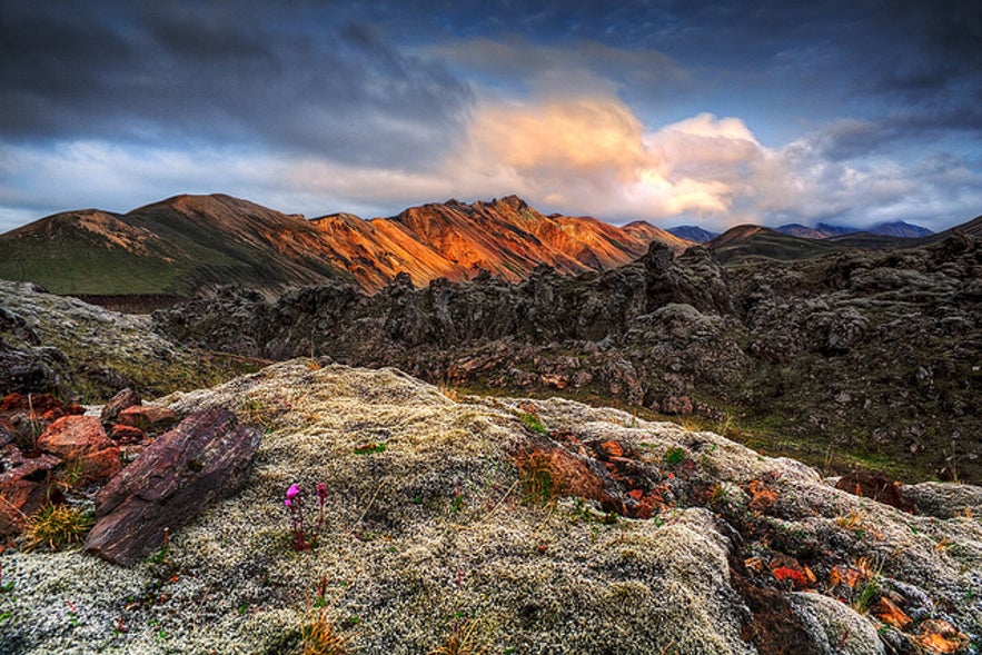 Landmannalaugar Tour