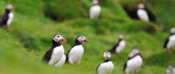 Hotels & Accommodation in the Westman Islands