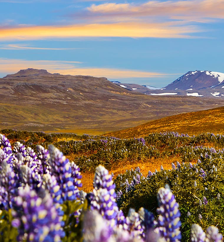 Hoteles y Alojamiento en Hellissandur