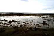 Photos of the seaside of Reykjavík