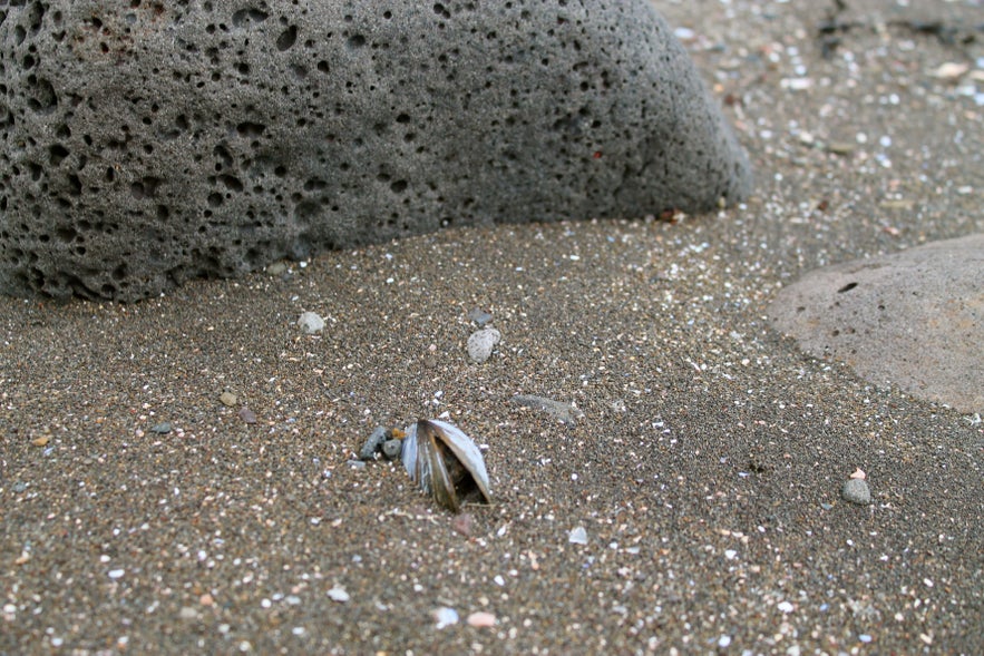 Photos of the seaside of Reykjavík