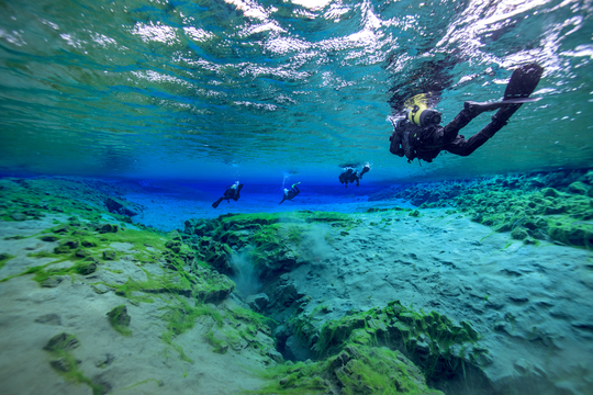 Self-Drive Silfra Snorkeling and Horseback Riding Tour in Iceland