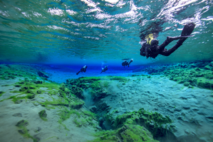 Divers exploring the bright blue underwater landscape of Silfra fissure.