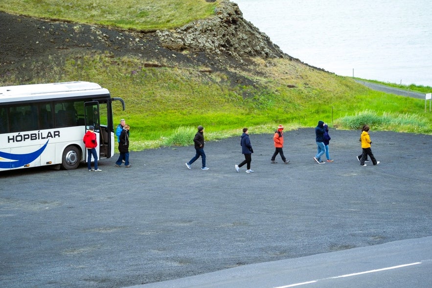 Guided bus tour in South Iceland, providing easy group transportation in Iceland’s scenic regions.