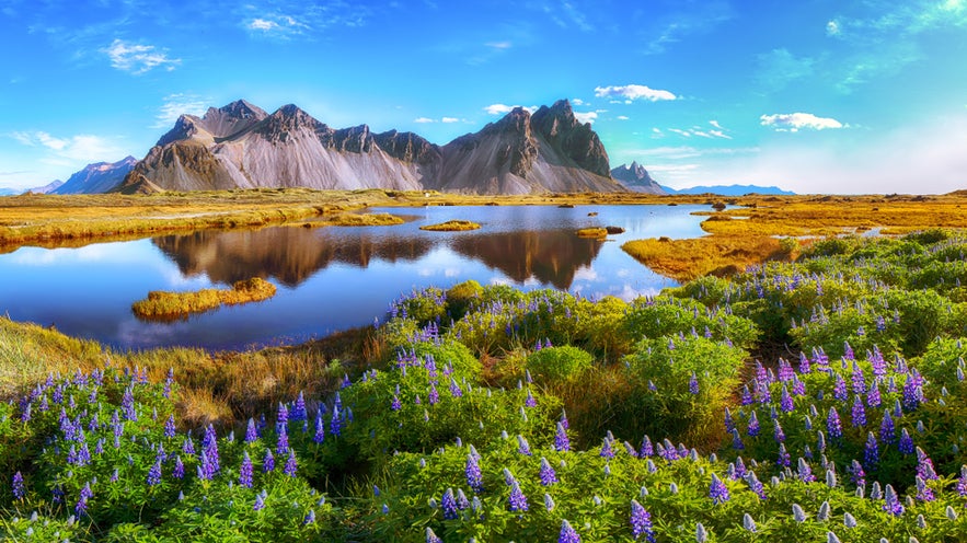 The Best Places To Visit in East Iceland