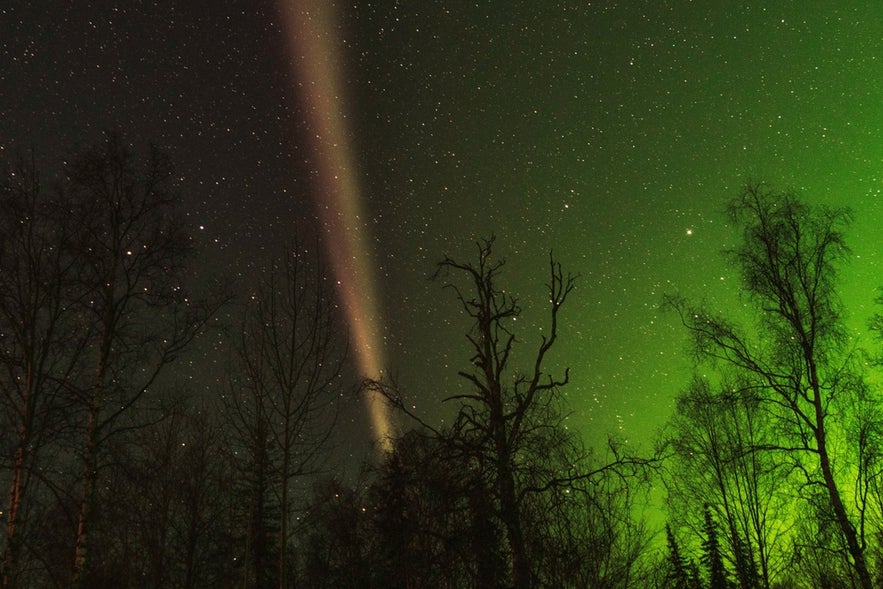  Aurora Borealis vs. Aurora Australis: What's the Difference?