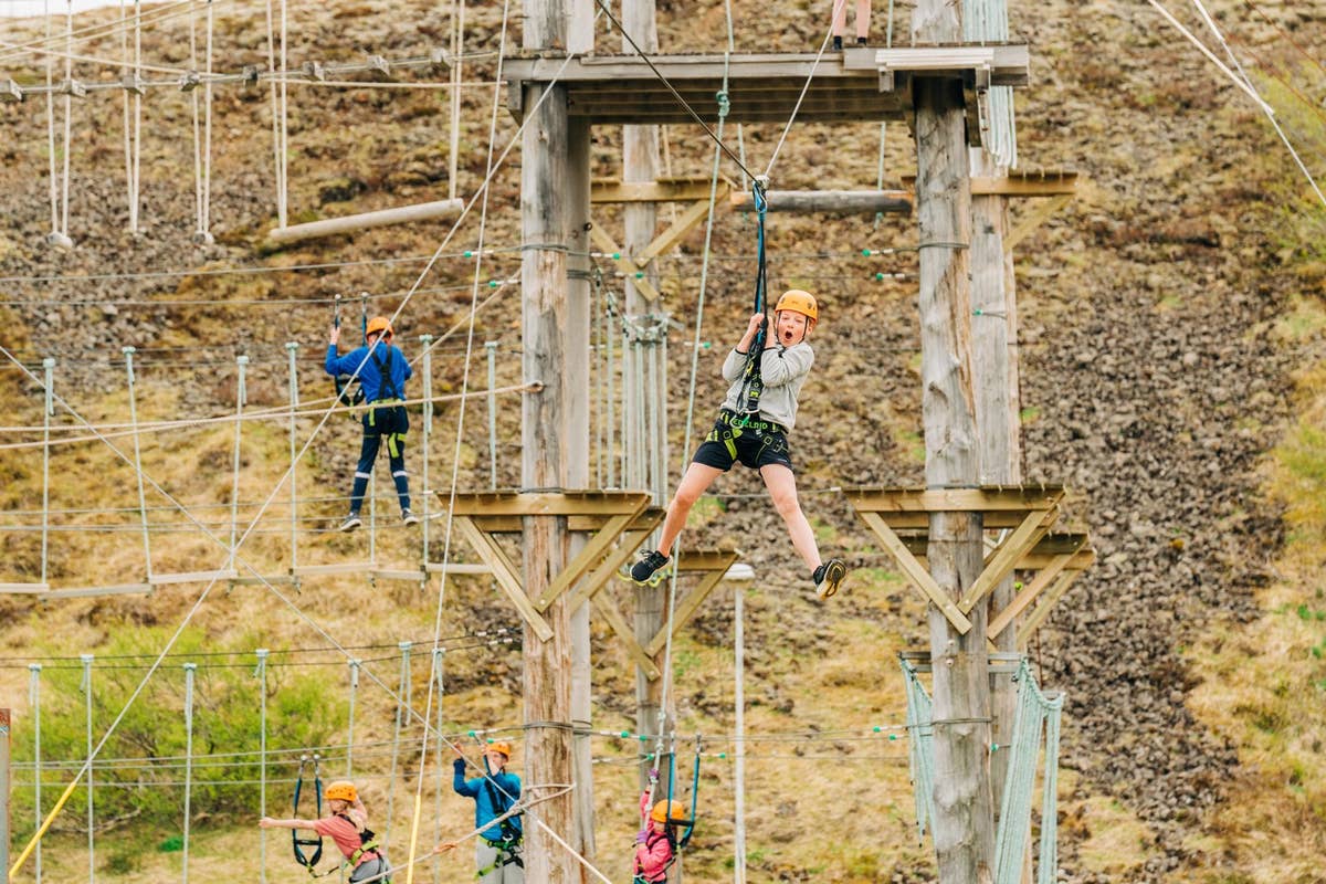Family-Friendly 2-Hour Climbing Excursion at Adrenalin Adventure Park ...