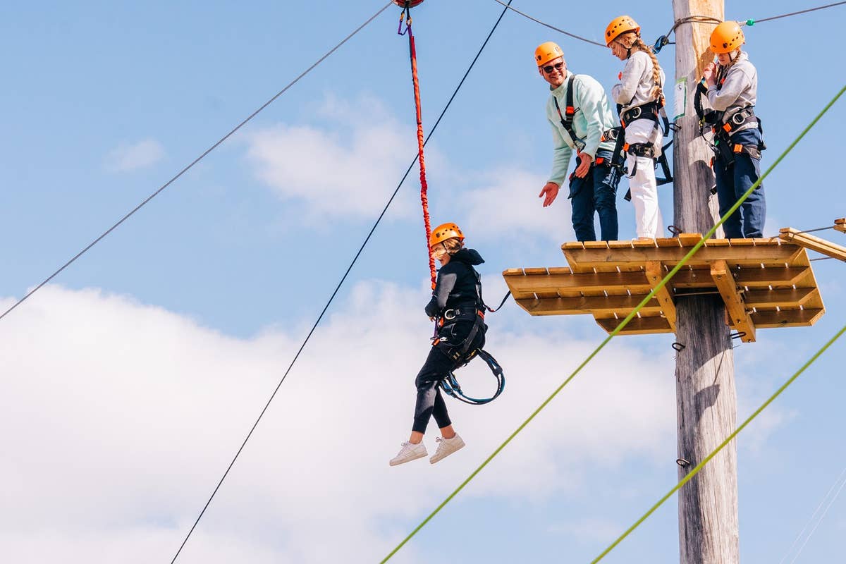 Family-Friendly 2-Hour Climbing Excursion at Adrenalin Adventure Park ...