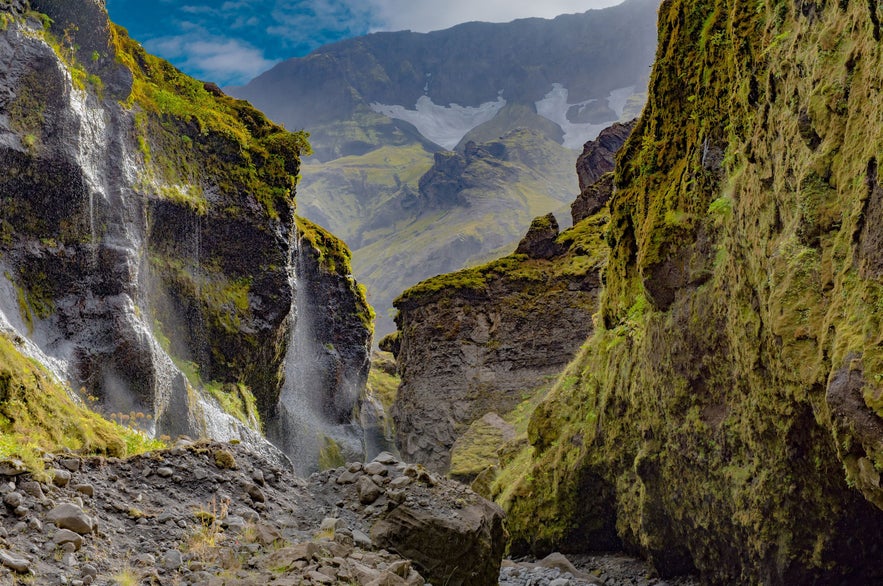 Narrow canyon walls and mossy cliffs with trickling waterfalls in Stakkholtsgja ravine in Iceland’s southern highlands.