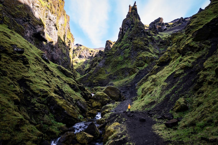 Hiker in yellow jacket walking through moss-covered canyon with jagged peaks in Thakgil, South Iceland.