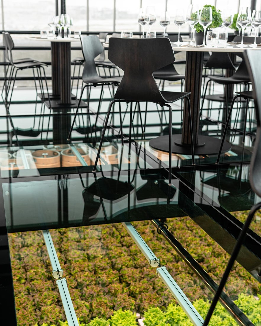 Dining tables at Sól Restaurant with glass floor over greenhouse greens.