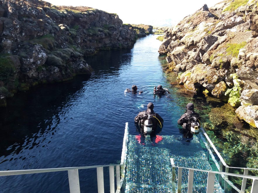 Divers exploring Silfra fissure in the Golden Circle, Iceland, known for its crystal-clear waters between tectonic plates.