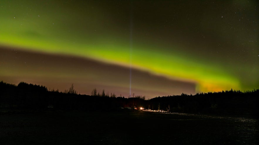 Northern lights stretch across the night sky above Reykjavik’s Imagine Peace Tower, with glowing beams rising over dark forests.