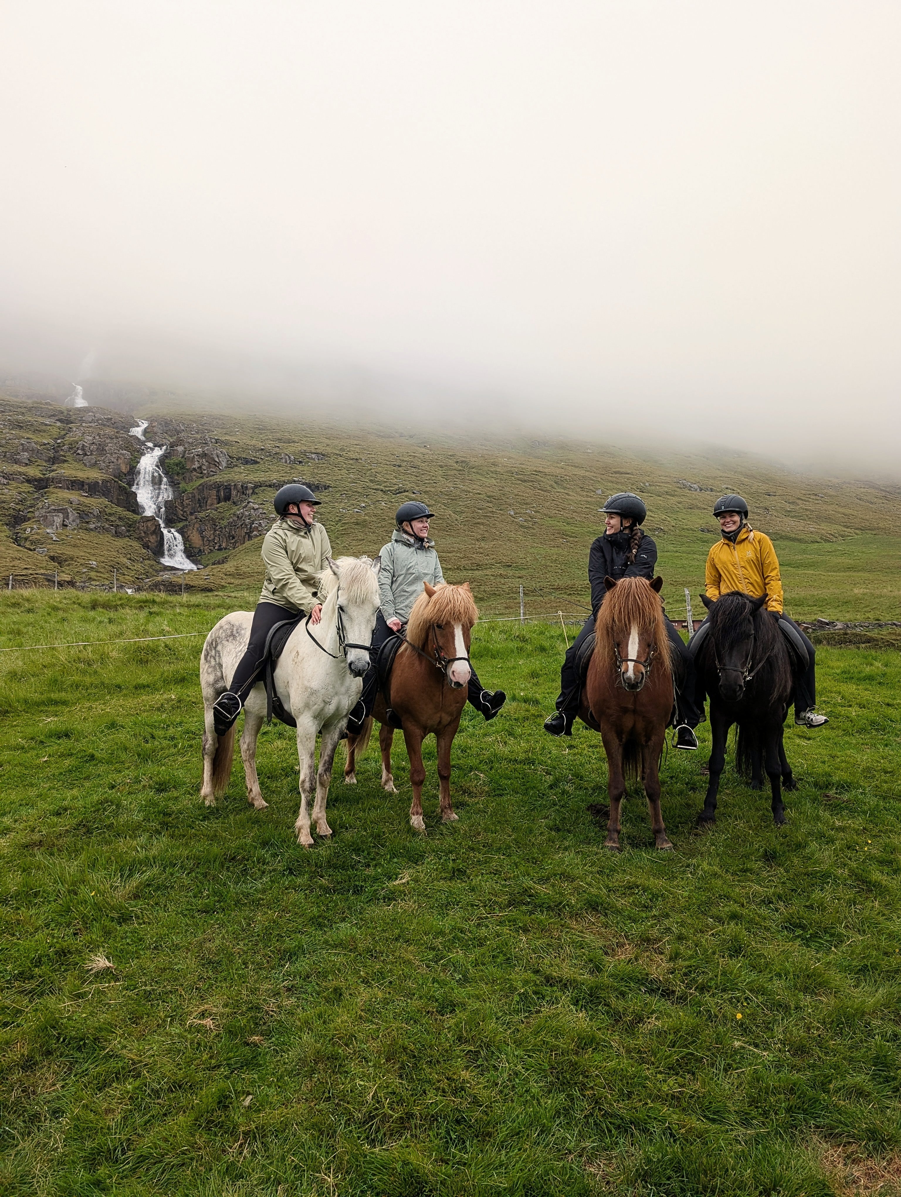 3-Hour Horse Riding Wilderness Tour in the Countryside of East Iceland