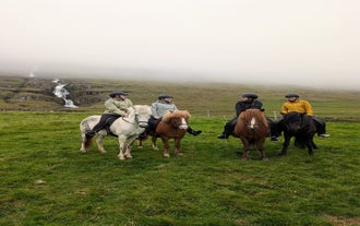 Paseo a Caballo de 3 Horas en la Naturaleza Salvaje del Este de Islandia