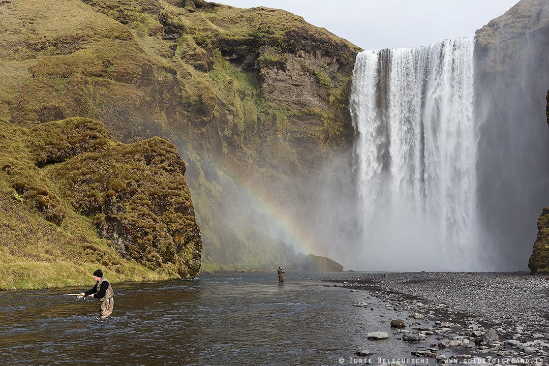 Who are we - VIP-tours!