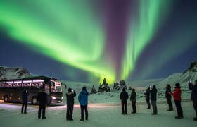 Die Nordlichter-Bustour ab Reykjavik mit warmen Erfrischungen