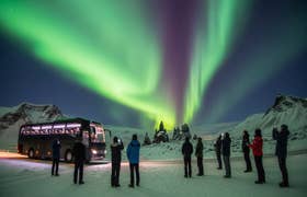 Die Nordlichter-Bustour ab Reykjavik mit warmen Erfrischungen