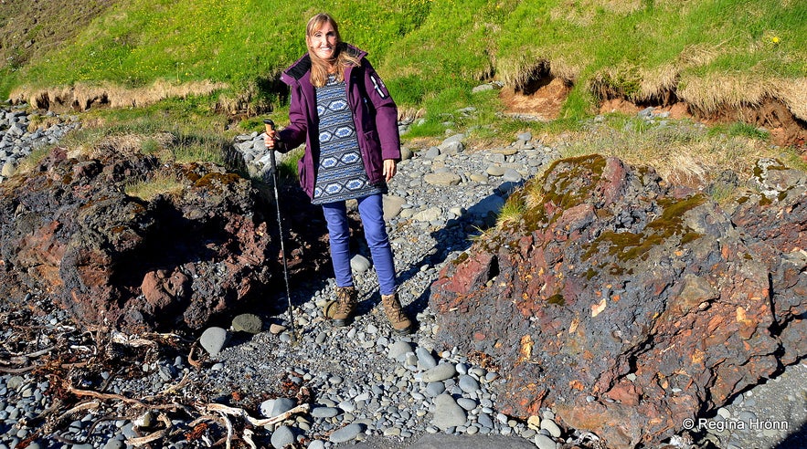 Tjörneslögin Fossils, Lignite Mines & the Waterfall Skeifárfoss on the Tjörnes Peninsula