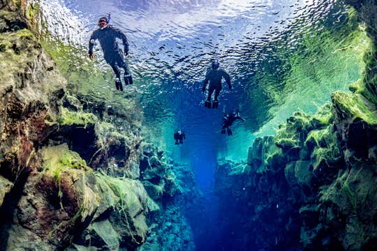 Silfra Fissure Snorkeling Tour with Free Underwater Photos and Hot Drinks