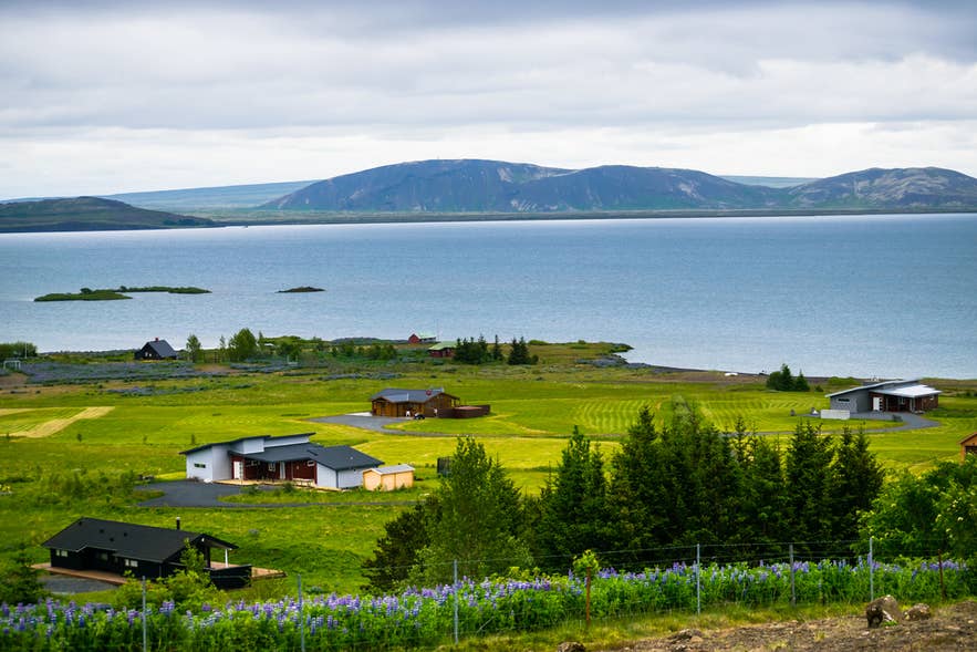 Lakeside cottages near Thingvellir National Park in Iceland with views of Lake Thingvallavatn and surrounding mountains.