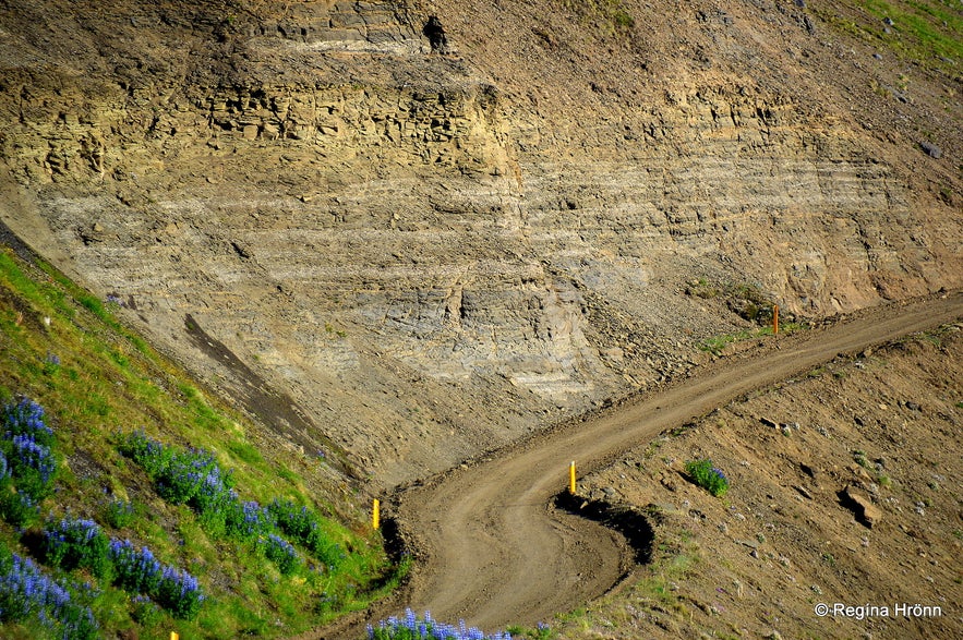 Tjörneslögin Fossils, Lignite Mines & the Waterfall Skeifárfoss on the Tjörnes Peninsula
