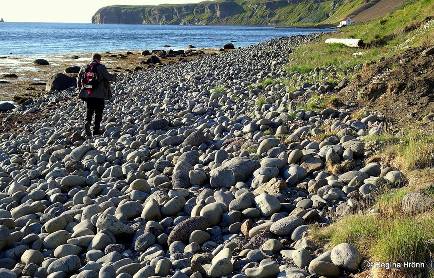 Tjörneslögin Fossils, Lignite Mines & the Waterfall Skeifárfoss on the Tjörnes Peninsula