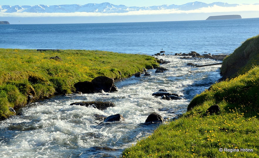 Tjörneslögin Fossils, Lignite Mines & the Waterfall Skeifárfoss on the Tjörnes Peninsula