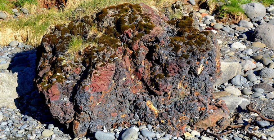 Tjörneslögin Fossils, Lignite Mines & the Waterfall Skeifárfoss on the Tjörnes Peninsula