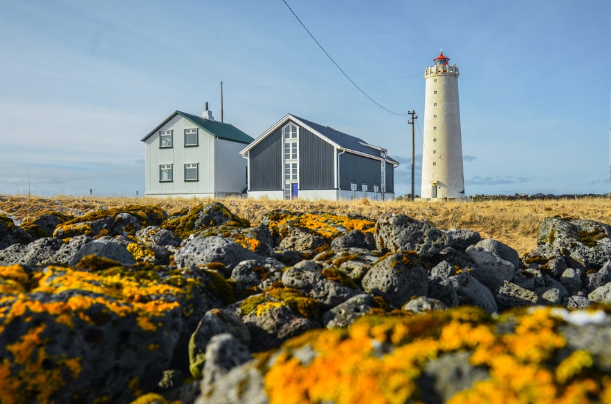 Grotta Lighthouse in Reykjavik, Iceland, with orange autumn grass in the foreground, a scenic spot to visit in October.