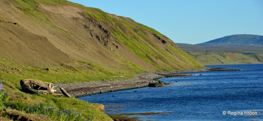 Tjörneslögin Fossils, Lignite Mines & the Waterfall Skeifárfoss on the Tjörnes Peninsula