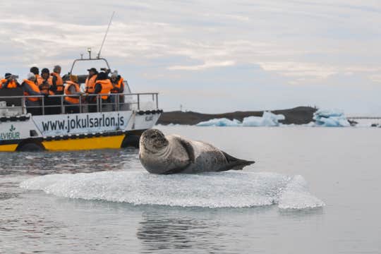 2-tägige Sommerreise an Islands Südküste mit Bootstour auf der Gletscherlagune & Gletscherwanderung