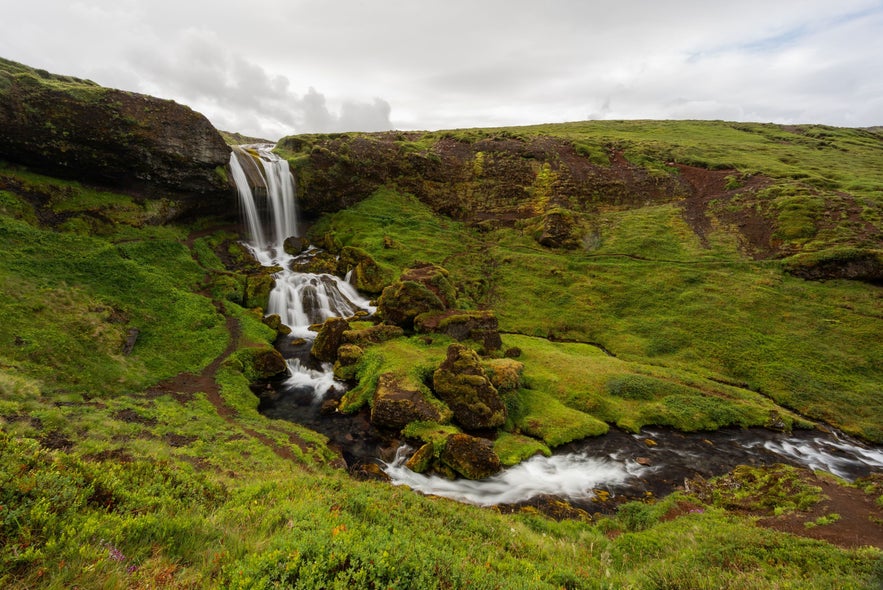 The Selvallafoss Waterfall in West Iceland cascades over mossy cliffs in summer.