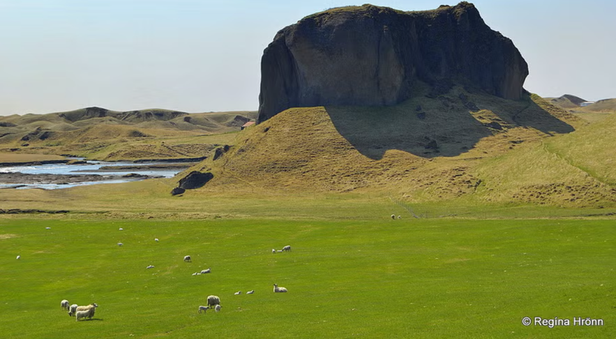 Sheep grazing on green fields beneath the Sisters’ Rock cliff formation near Kirkjubaejarklaustur in South Iceland.