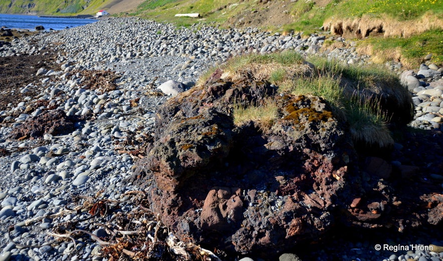 Tjörneslögin Fossils, Lignite Mines & the Waterfall Skeifárfoss on the Tjörnes Peninsula