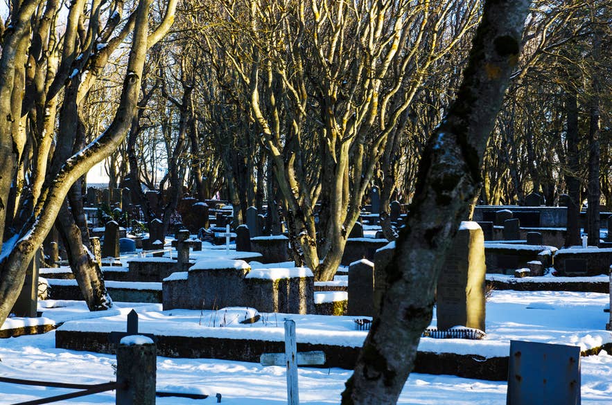 Snowy Holavallagardur Cemetery with old gravestones and bare winter trees.