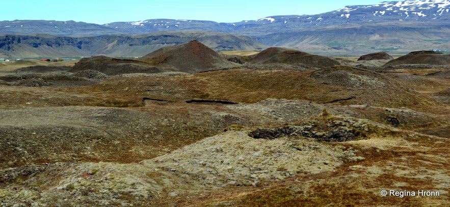Pseudocraters in Iceland with mountains in the background.