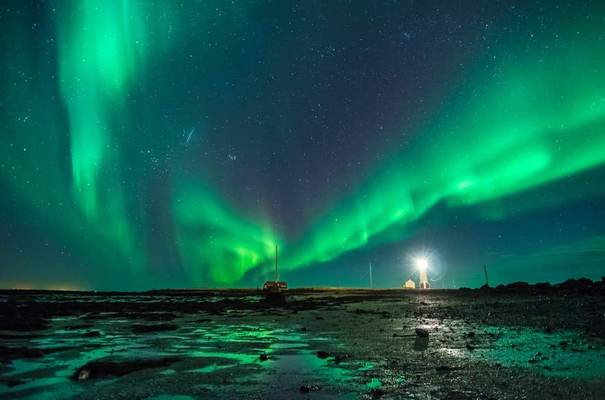 Aurora boreale che danza sopra un faro e la costa islandese sotto un cielo stellato limpido