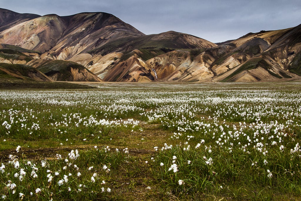 Landmannalaugar | A colorful highland tour