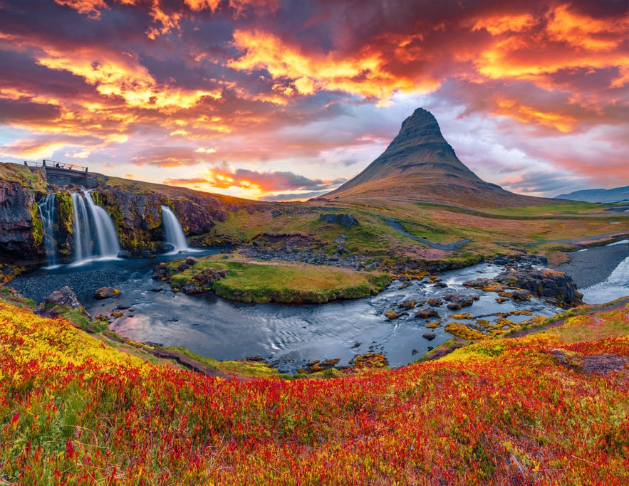 Kirkjufell Mountain on the Snaefellsnes Peninsula with surroundings dressed in fall colors like orange and red.