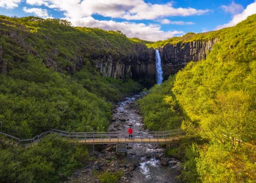 Mountain Trail and Waterfall Hiking Tour of Skaftafell Nature Reserve
