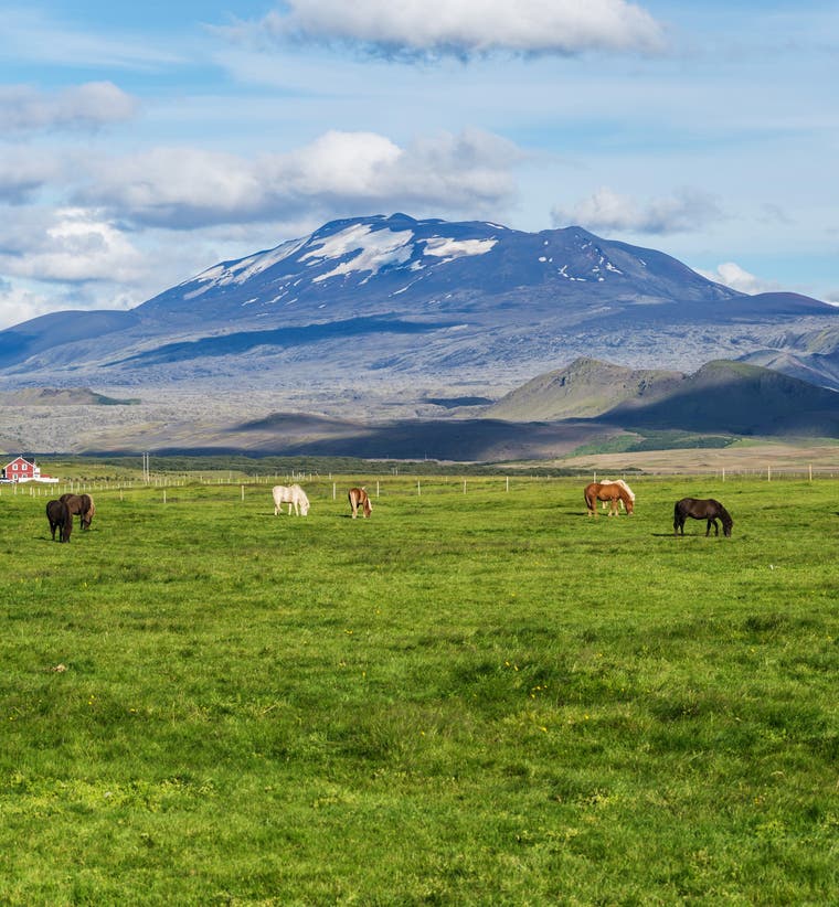 Hekla Volcano Tours