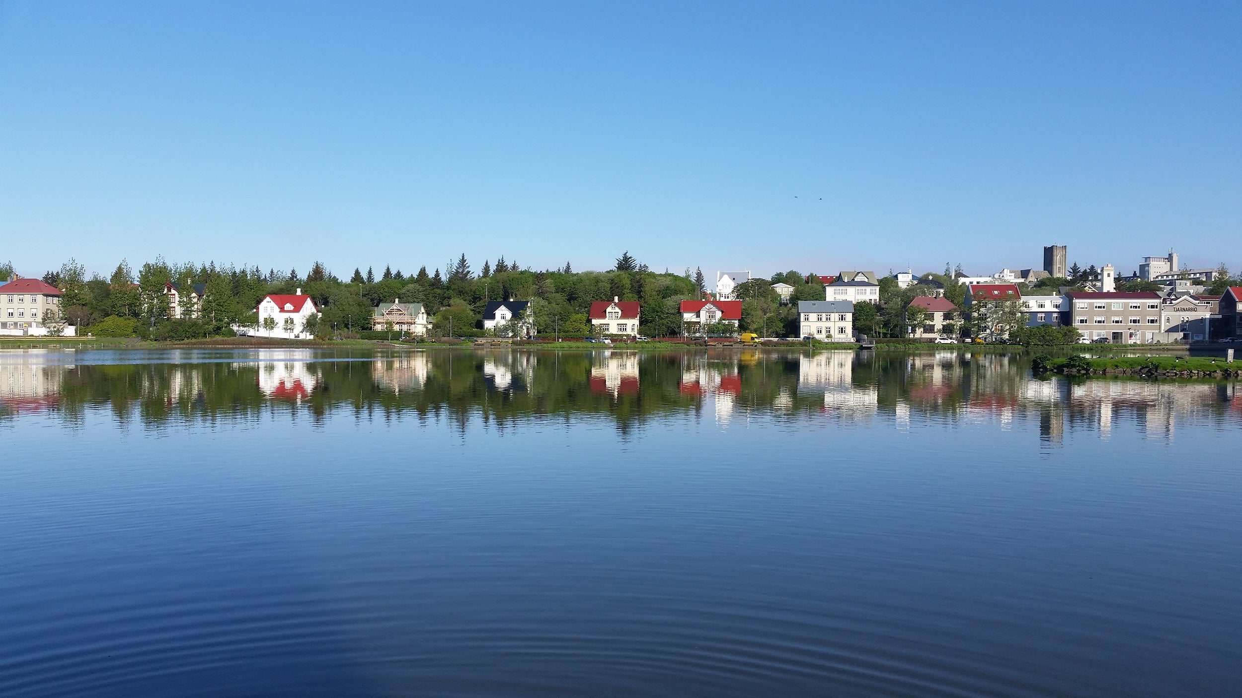 Top 30 Best Restaurants in Reykjavik