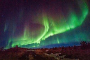 Northern Lights shimmer and dance across the night sky, illuminating the darkness with their enchanting colors.