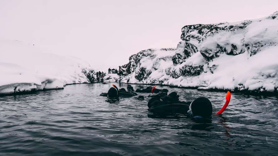 Snorkelers in dry suits explore the cold, glacial waters of Silfra Fissure in winter, surrounded by snow and frozen lava fields.
