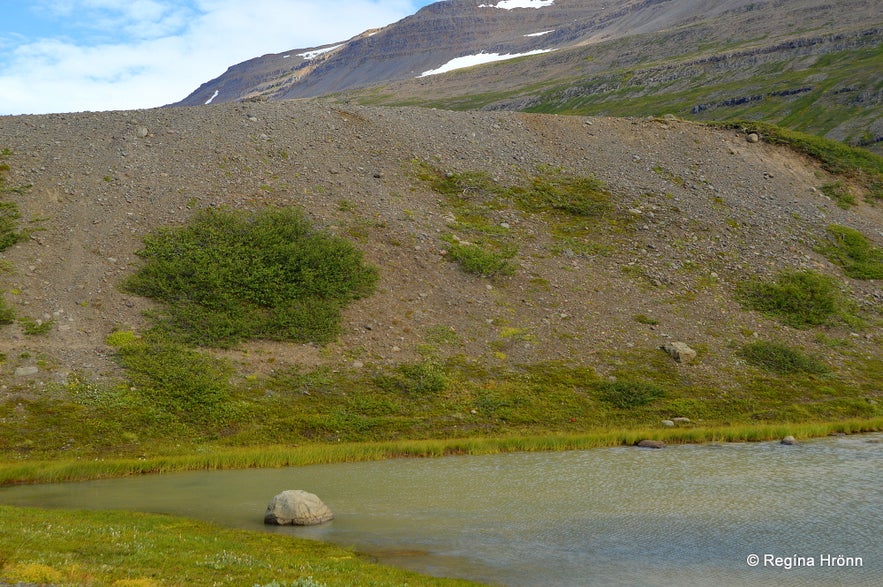 Hiking to Drangajökull Glacier & the Sights by Snæfjallastrandarvegur 635